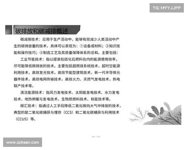 如何在短时间内打造一个强大而持久的帝国从战略到实施的全方位指南 如何在短时间内打造一个强大而持久的帝国从战略到实施的全方位指南